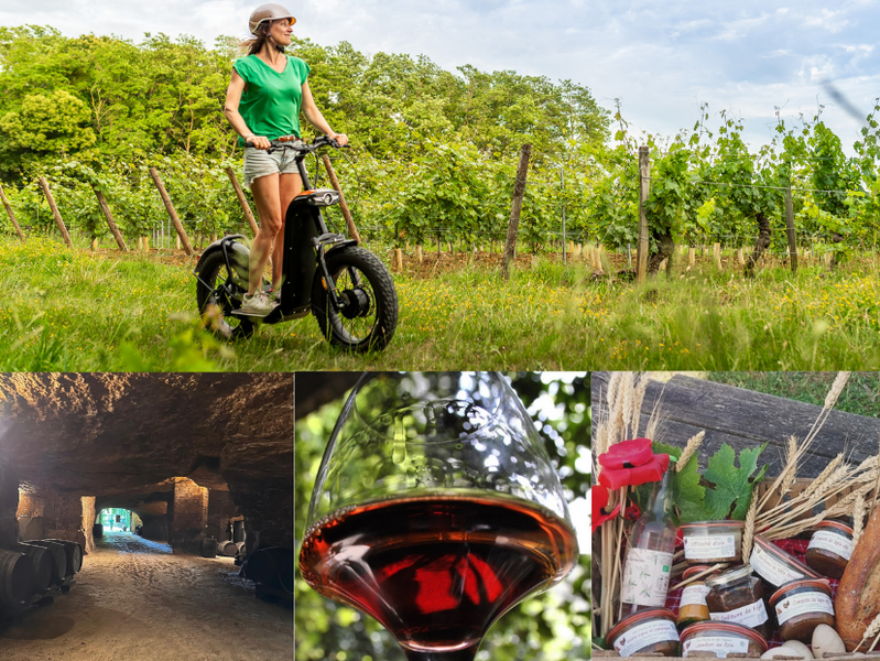 Vignobles en Scène Escapade gourmande entre vignes et terroir en trottinette tout-terrain  Coteaux-sur-Loire