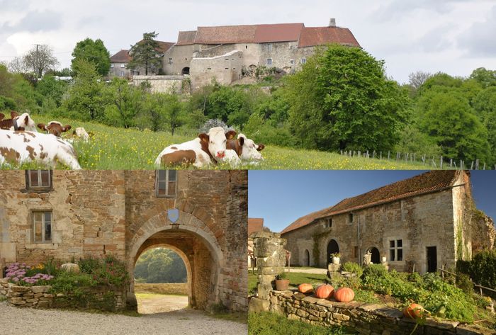 Visite, animations médiévales, combats, saynète., Château de Montby, Gondenans-Montby