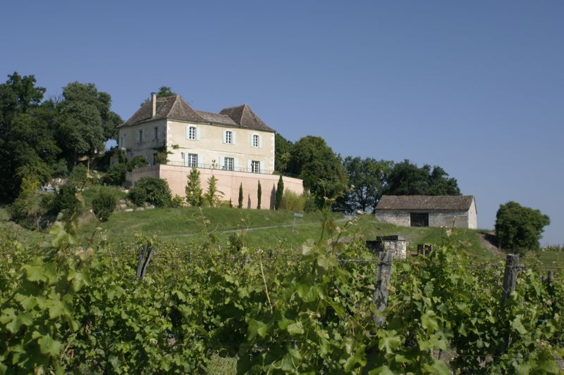 Visite bout de rang et dégustation | Domaine de l’Ancienne Cure Domaine de l’Ancienne Cure Colombier