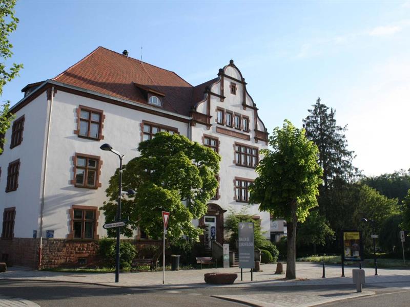 Visite commentée de la section médiévale  Niederbronn-les-Bains