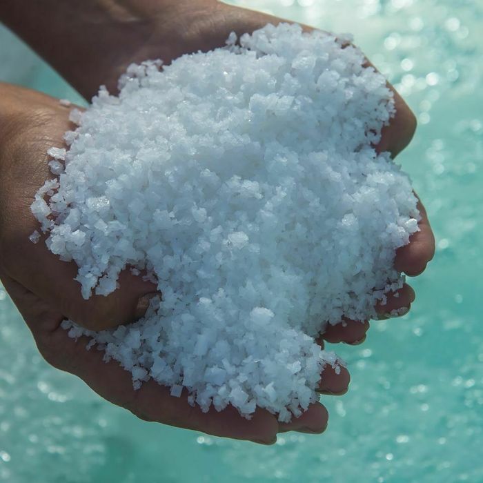 Visite commentée des salines, Salines, Salies-de-Béarn