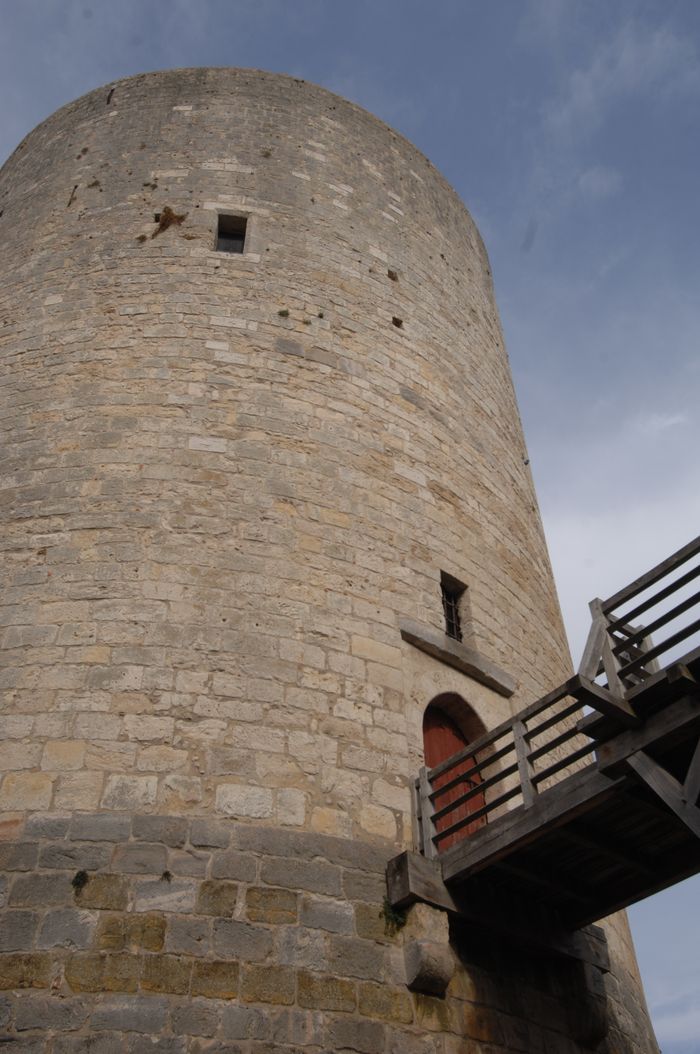 Visite commentée du château, Musée du Château de Dourdan, Dourdan