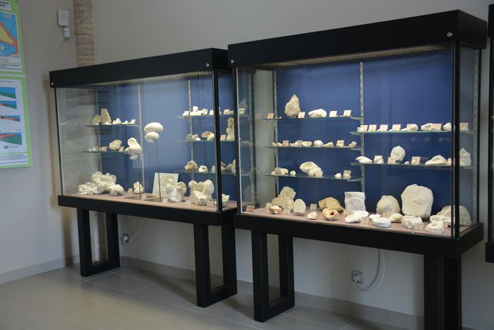 Visite commentée du Musée Urgonia, Musée Urgonia, Orgon