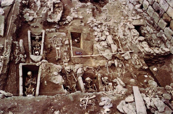 Visite commentée : la nécropole Saint-Martin et ses sarcophages du VIIe siècle, Nécropole Saint-Martin, Cognac
