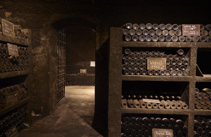 Visite commentée : ouverture de la cave souterraine, Cave souterraine de Terres des Templiers, Banyuls-sur-Mer
