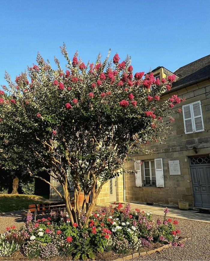 Visite commentée : parcours de mémoire, Centre d’études et Musée Edmond Michelet, Brive-la-Gaillarde
