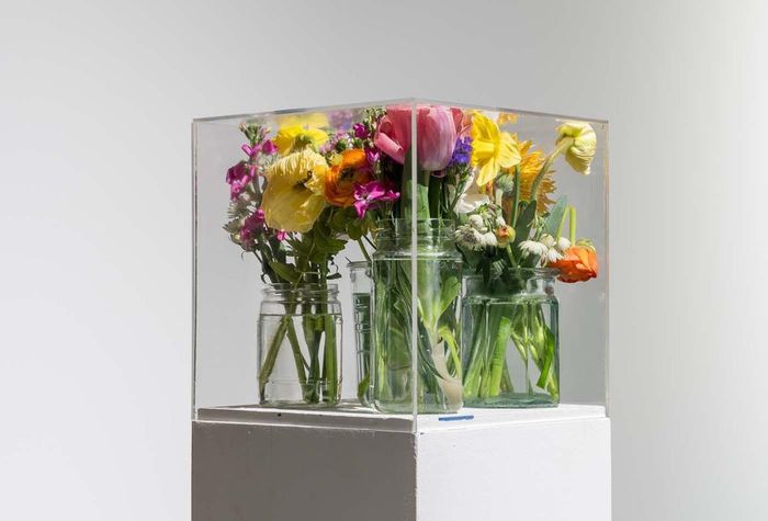 Visite commentée « Twilight zone » de l’exposition « Pollen », CAPC – musée d’art contemporain, Bordeaux