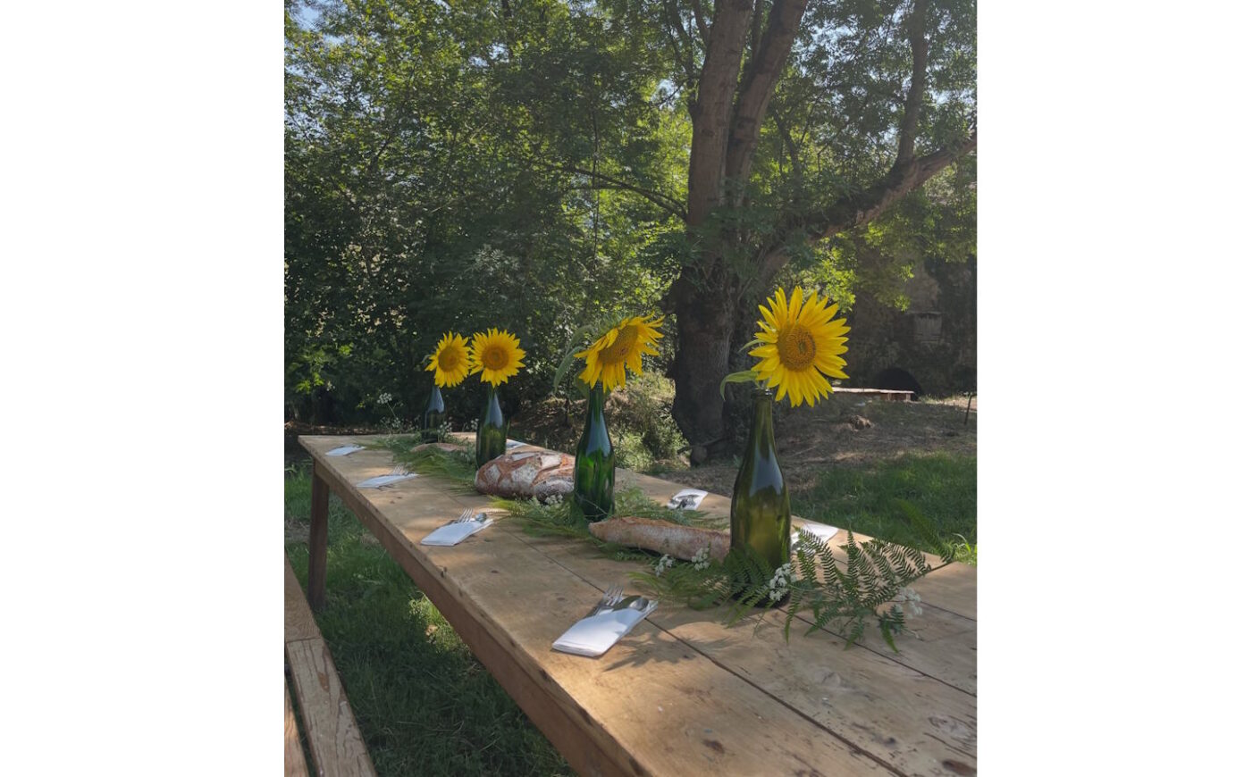 Visite de ferme et brunch à Itzalea Ferme Itzalea Lohitzun-Oyhercq