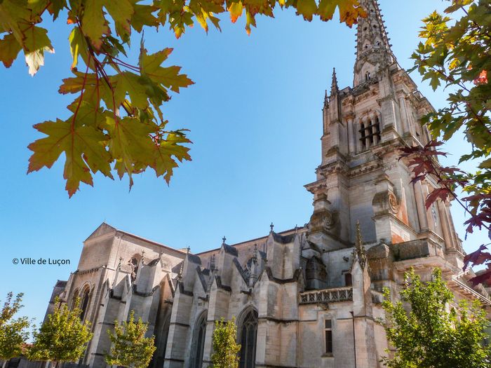Visite de la cathédrale et du cloître, Cathédrale Notre-Dame-de-l’Assomption, Luçon