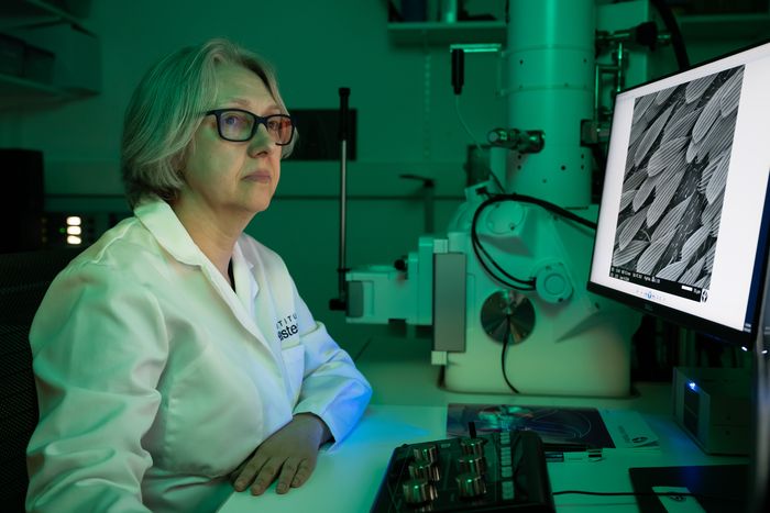 Visite de la plateforme de BioImagerie Ultrastructurale de l’Institut Pasteur, Institut Pasteur, Paris