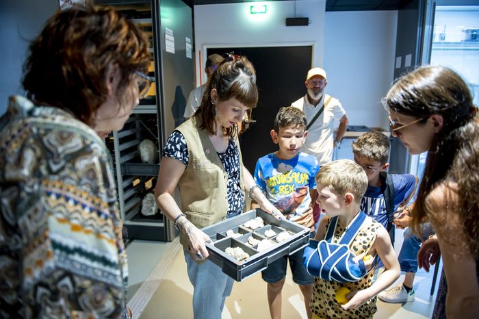 Visite de la Réserve pédagogique, Muséum d&rsquo;histoire naturelle – Jardin des plantes, Toulouse