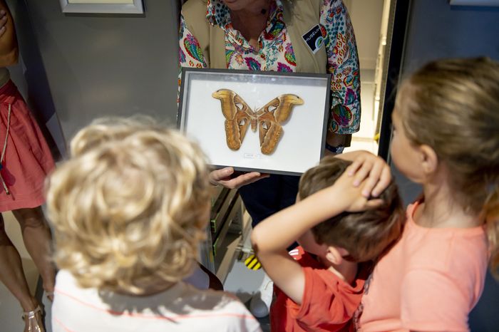 Visite de la Réserve pour les tout-petits, Muséum d&rsquo;histoire naturelle – Jardin des plantes, Toulouse