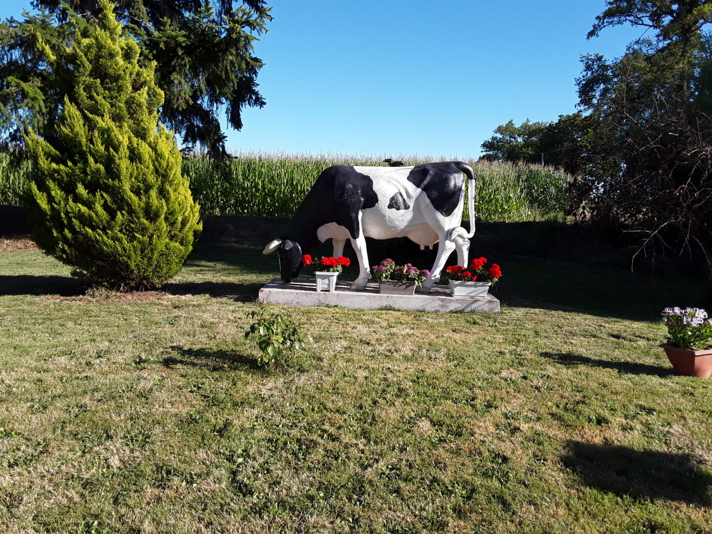 Visite de l’exploitation de vaches laitières Gatebourg Séreilhac