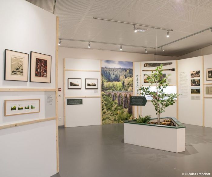 Visite de l’exposition « Impressions beaujolaises », Le Musée Marius Audin & la Maison du terroir beaujolais, Beaujeu
