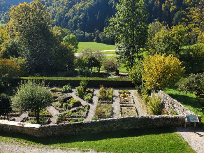 Visite du jardin des Simples, Abbaye d’Aulps – Domaine de Découverte de la Vallée d’Aulps, Saint-Jean-d’Aulps