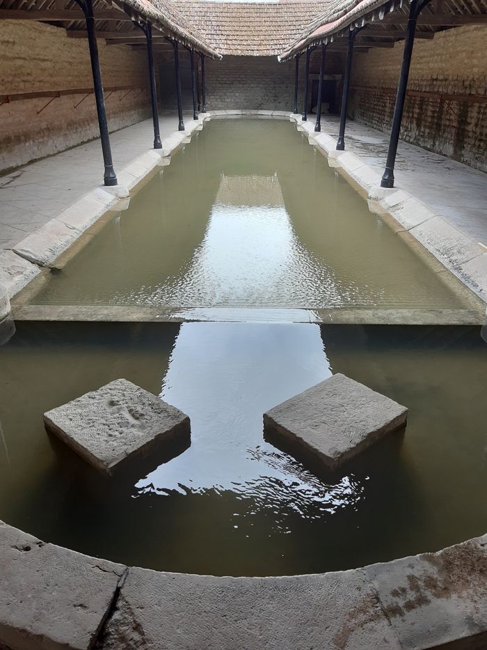 Visite du lavoir de Dannemoine, Lavoir de Dannemoine, Dannemoine