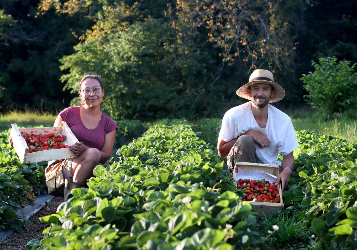 Visite d’une exploitation de fruits bio Le Champ des Gourmands Le champ des Gourmands Roulans