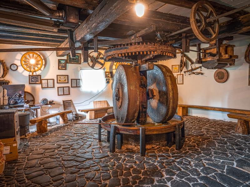 Visite et démonstration du moulin à huile Lembach