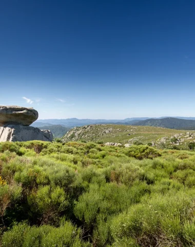 VISITE EXPRESS SPÉCIALE LOZÈRE Mende