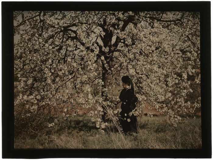 Visite flash « Les autochromes de Julien Gérardin », Musée de l&rsquo;école de Nancy, Nancy