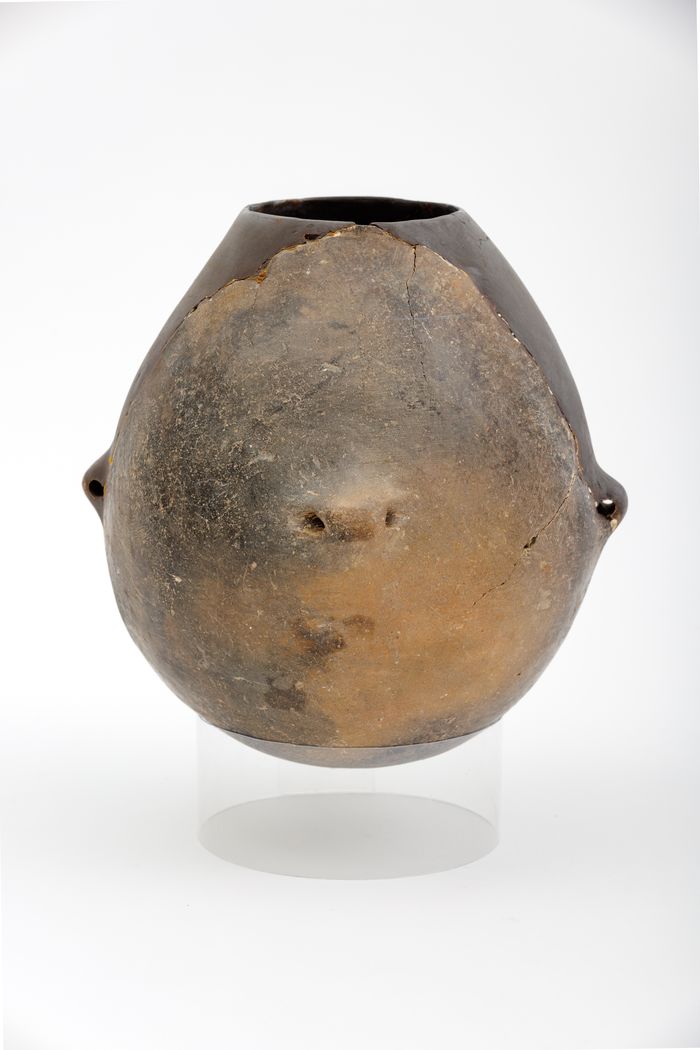 Visite guidée - Archéologie Musée du Colombier Alès