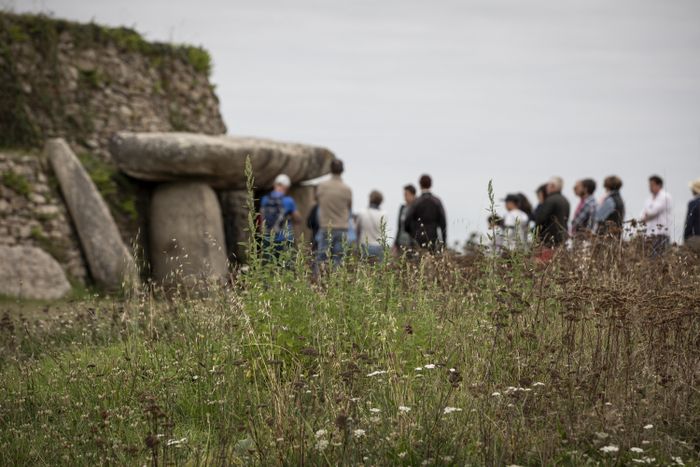 Visite guidée au cairn de Petit Mont, Cairn de Petit Mont, Arzon