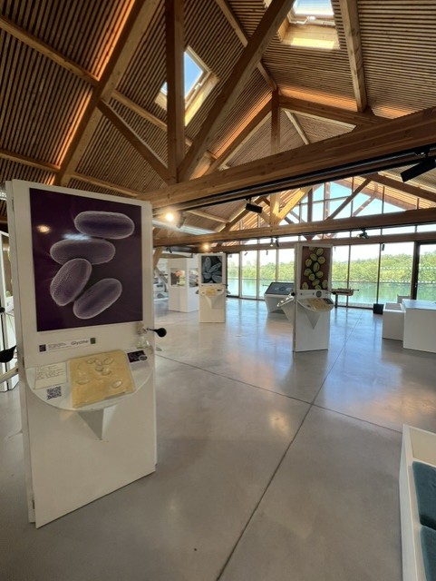 VISITE GUIDÉE MAISON GARONNE Cazères