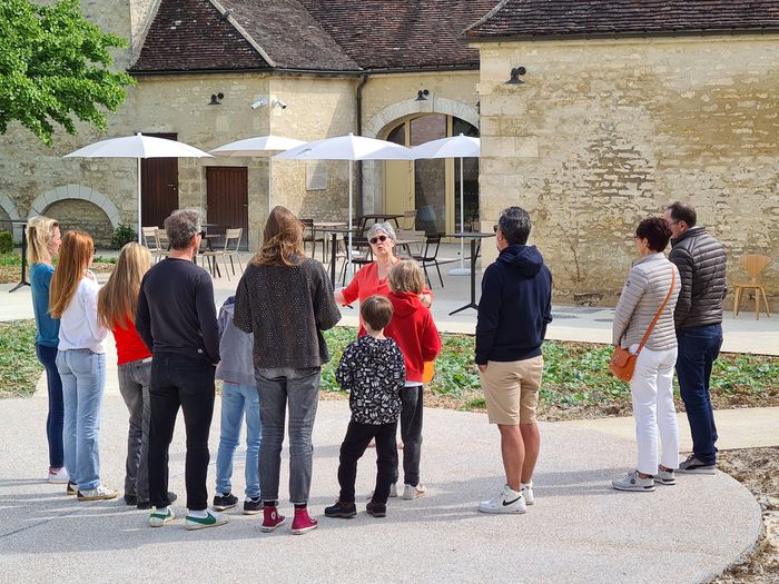 Visite guidée de la Cité des Climats à Chablis, Cité des Climats et vins de Bourgogne, Chablis