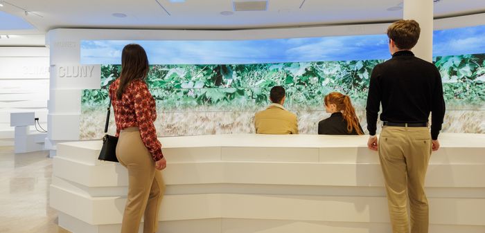 Visite guidée de la Cité des Climats à Mâcon, Cité des Climats et vins de Bourgogne de Mâcon, Mâcon