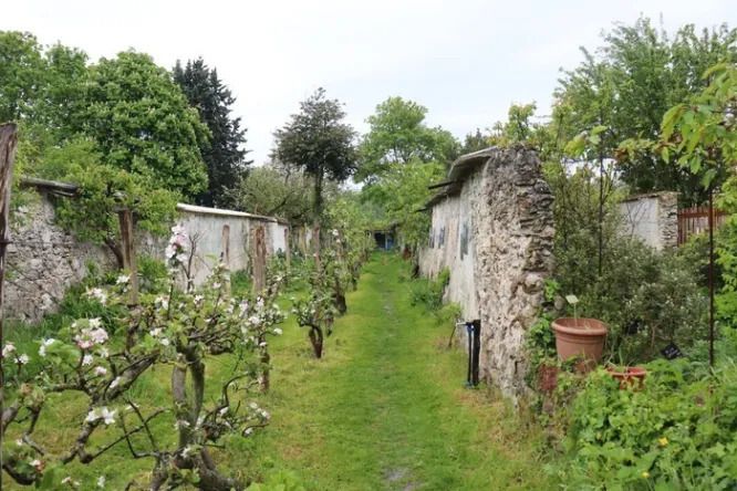Visite guidée des Murs à Pêches (durée 2h), Théâtre de Verdure de La Girandole, Montreuil