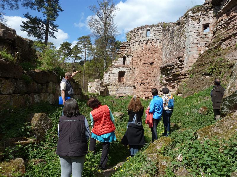 Visite guidée du château du Schoeneck Dambach