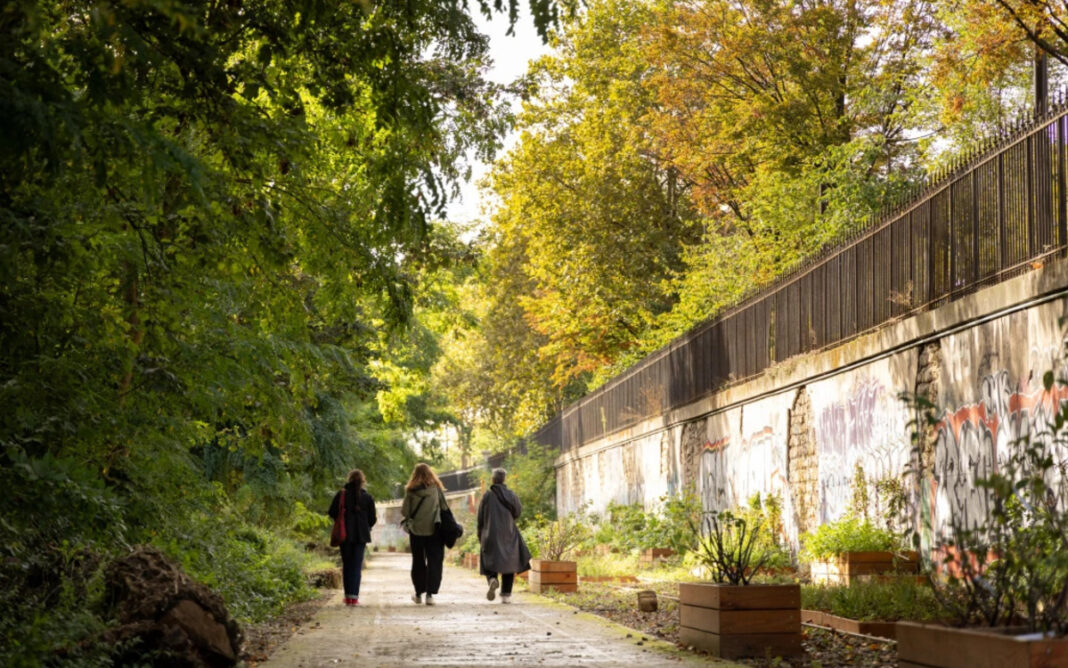 Visite guidée du Jardin des Traverses Jardin des traverses Paris