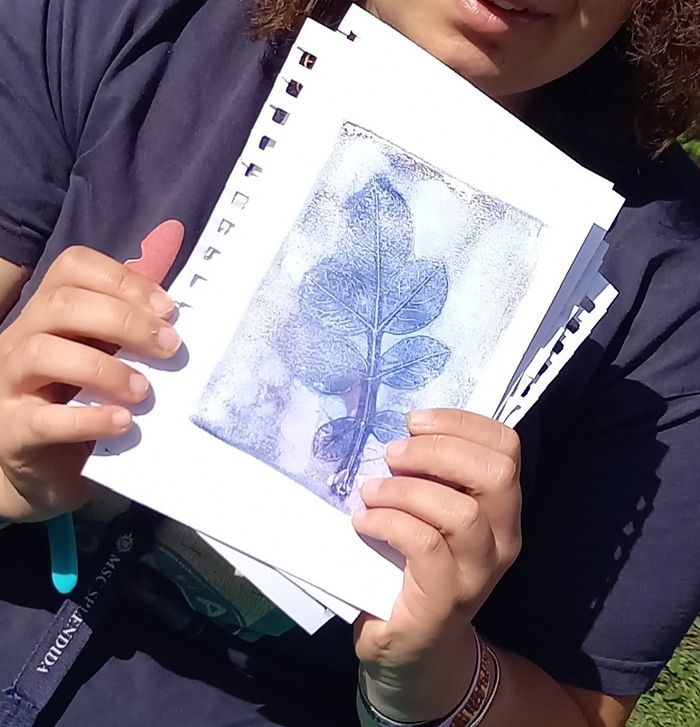 Visite guidée du jardin lapidaire et de l’installation de gelly print, travail artistique et culturel mené avec les centres sociaux, Jardin lapidaire, Autun