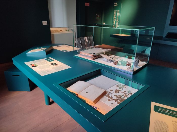Visite guidée du Musée végétal, Centre Culturel André Malraux, Verrières-le-Buisson