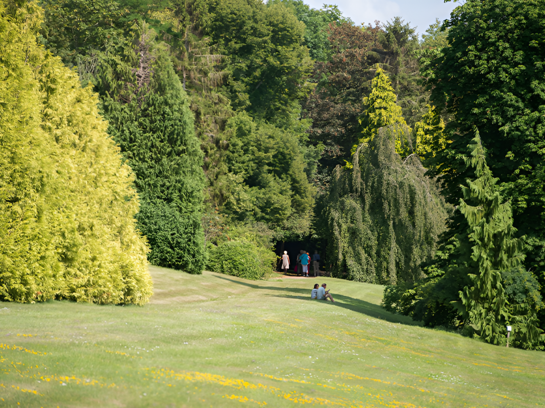 Visite guidée du patrimoine arboré du parc Calouste Gulbenkian Parc Calouste Gulbenkian Benerville-sur-Mer