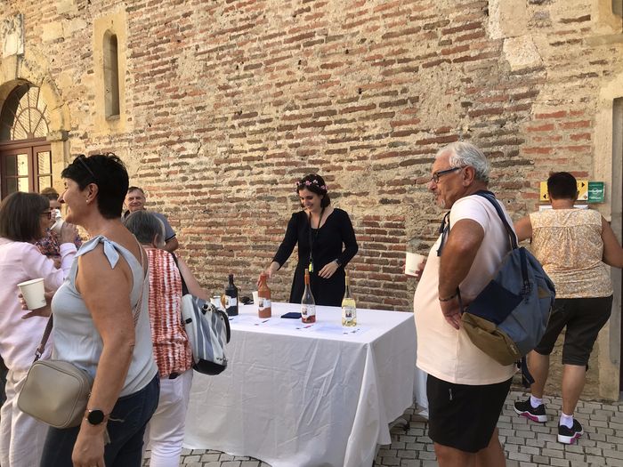 Visite guidée et dégustation de vins médiévaux, Château de Morlanne, Morlanne