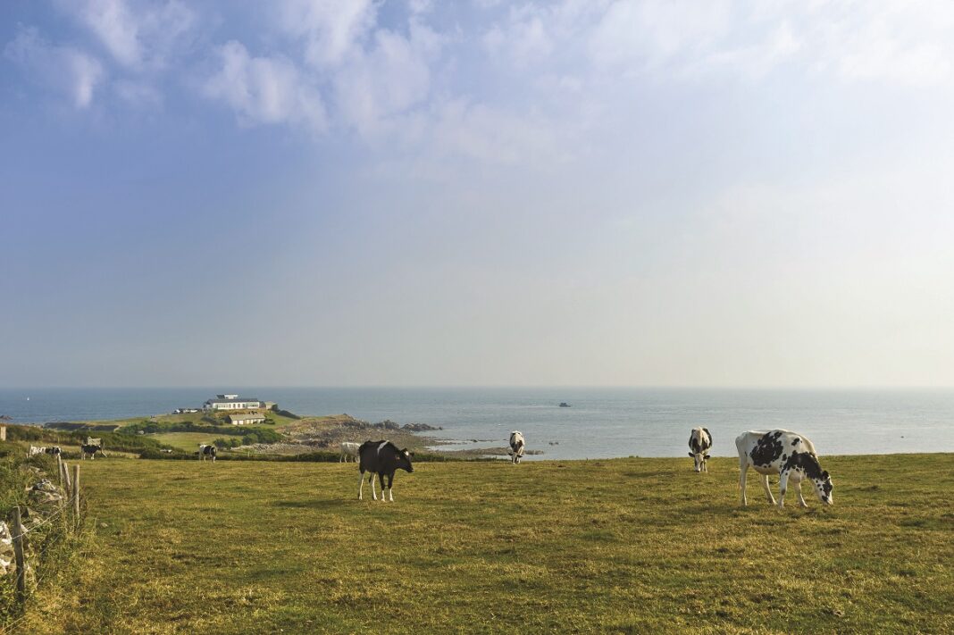 Visite guidée La pointe de Jardeheu vue par un géologue  La Hague