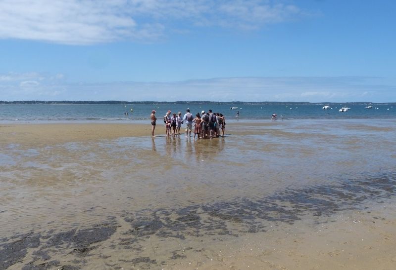 Visite guidée La vie secrète du banc de sable de Pereire Office de Tourisme d&rsquo;Arcachon / MA.AT Arcachon