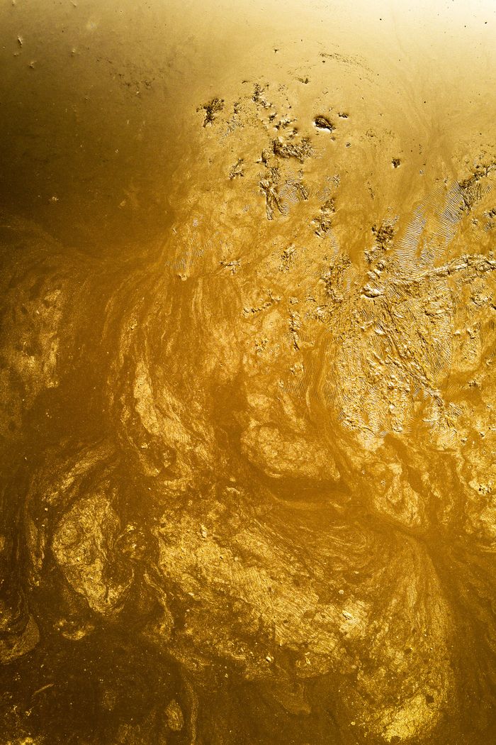 Visite gustative "À voir et à boire" au FRAC Champagne-Ardenne FRAC Champagne-Ardenne Reims