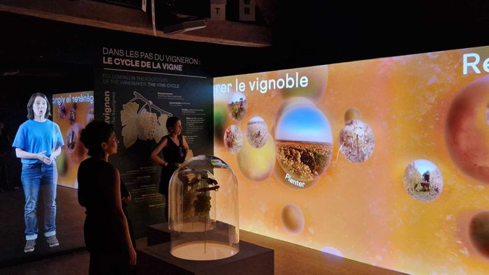 Visite Immersive de La Tour du Pouilly Fumé, La Tour du Pouilly Fumé, Pouilly-sur-Loire