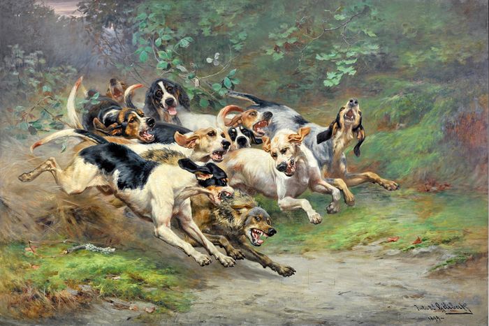 Visite indocile : Halte aux idées reçues sur le musée de la Vénerie !, Musée de la Vénerie, Senlis