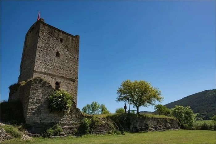 Visite libre de la tour médiévale de Chanac, dominant la vallée du Lot lozérienne, Tour de Chanac, Chanac