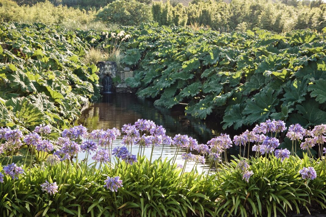 Visite libre du jardin botanique de Vauville Route du Thot La Hague
