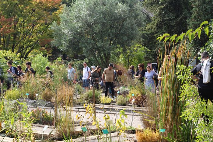Visite libre – Le Jardin botanique, un patrimoine vivant, Jardin botanique de l&rsquo;université de Strasbourg, Strasbourg