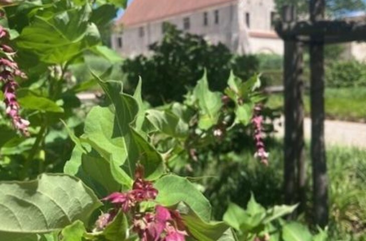 Visite Un jardin, une couleur  Bruère-Allichamps
