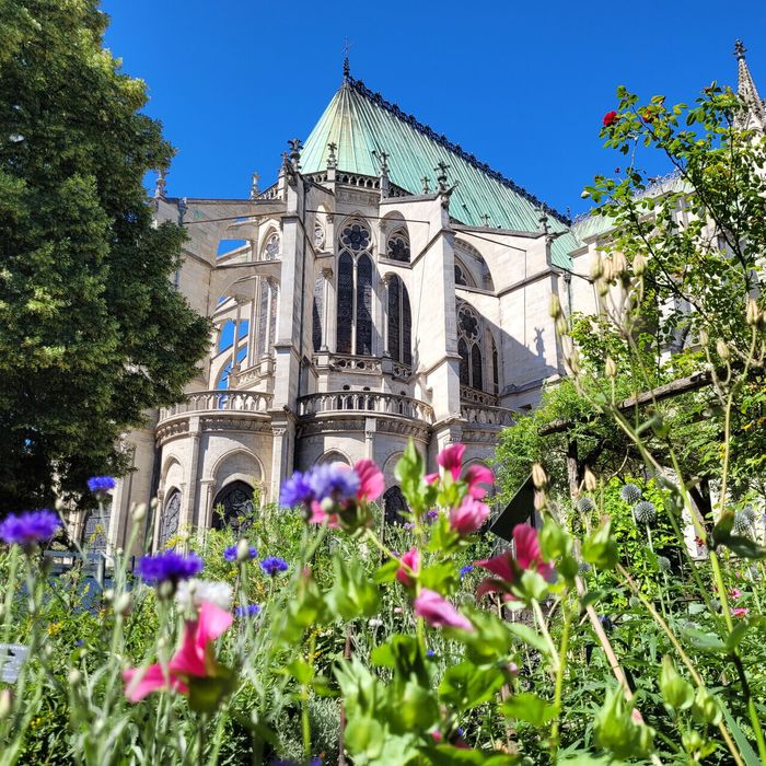 Visites commentées du jardin médiéval Basilique Saint-Denis Saint-Denis