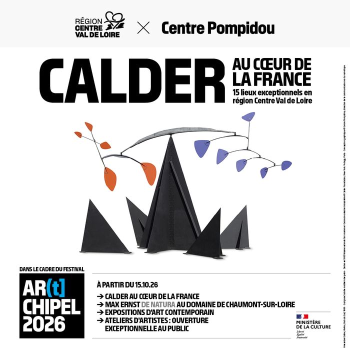 Visites commentées Festival AR(t]CHIPEL #4, Musée des Beaux Arts, Orléans