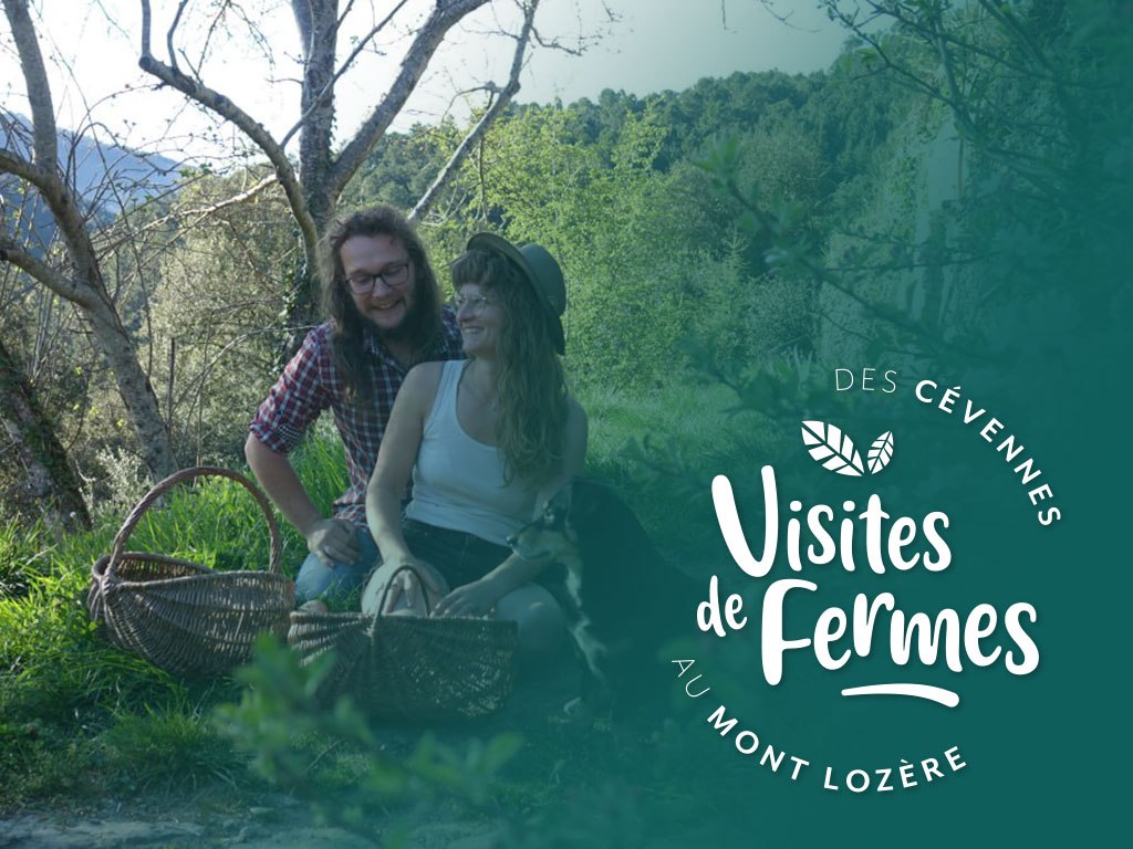 VISITES DE FERMES 2026: LA FERME SIMONE Le Collet-de-Dèze