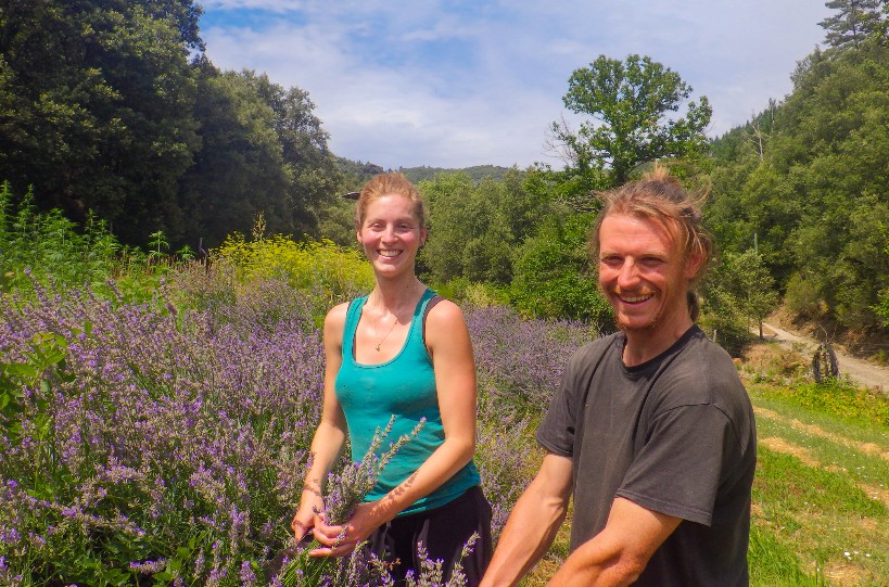VISITES DE FERMES 2026: LES PLANTES DES CÉVENNES  Sainte-Croix-Vallée-Française