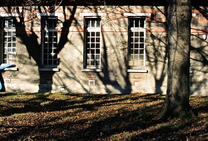 Visites de l’exposition de Photos, Hôpital de Maison Blanche, Neuilly-sur-Marne